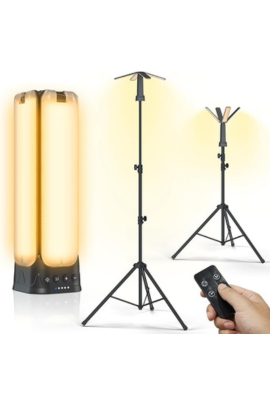 Portable light